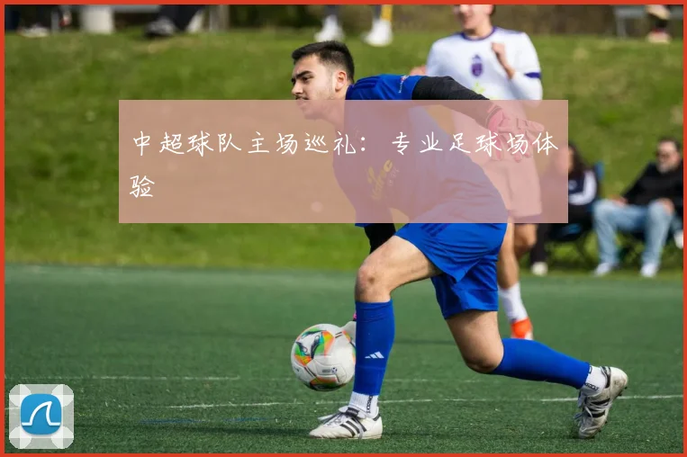 中超球队主场巡礼：专业足球场体验
